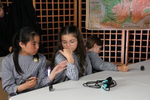 IMG_6288
